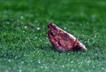 【乐玩LEWIN】【老相馆】绷不住了?菲戈被扔猪头?看台上老佛爷憋不住笑-乐玩真人线上娱乐