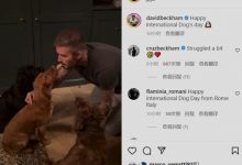 【乐玩LEWIN】?不止场上能喂饼!小贝用嘴亲自给狗子喂饼,温情满满-乐玩真人线上娱乐