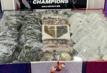 【乐玩LEWIN】T1更新INS快拍:GEN送的夺冠年糕-乐玩真人线上娱乐