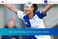 【乐玩LEWIN】牌面!张琳艳庆祝图出现在瑞士女超联赛官网首页-乐玩真人线上娱乐