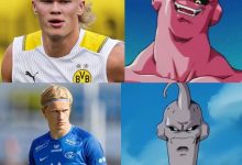 【乐玩LEWIN】?魔人家族？哈兰德18岁表弟贾兰德中场吊射惊艳，曾37场轰64球-乐玩真人线上娱乐