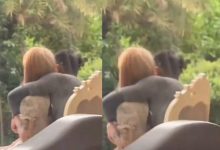 【乐玩LEWIN】周周小可爱和刘二狗恋情曝光周周小可爱和刘二狗恋情曝光？仙洋姐姐回应最终判定...-乐玩真人线上娱乐