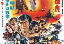 【乐玩LEWIN】1974台湾动作《大地龙种》HD1080P 迅雷下载-乐玩真人线上娱乐
