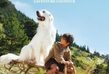 【乐玩LEWIN】2015经典剧情《灵犬雪莉：冒险再出发》1080p.BD中字-乐玩真人线上娱乐