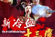 【乐玩LEWIN】1993香港动作《新冷血十三鹰》HD1080P 迅雷下载-乐玩真人线上娱乐