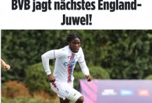 【乐玩LEWIN】专攻英格兰小妖！图片报：多特有意水晶宫17岁中锋迪克逊-乐玩真人线上娱乐