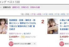 【乐玩LEWIN】星乃莉子(Hoshino-Riko)作品stzy-006介绍及封面预览-乐玩真人线上娱乐