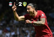 【乐玩LEWIN】今日趣图:?你饺子烫嘴!我玫瑰扎手!-乐玩真人线上娱乐