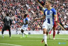 【乐玩LEWIN】布莱顿近17场英超只输掉3场，两擒曼联、客胜枪手热刺-乐玩真人线上娱乐