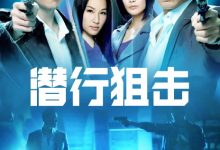 【乐玩LEWIN】2011港剧《潜行狙击》全集 HD720P 迅雷下载-乐玩真人线上娱乐