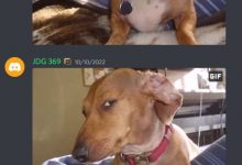 【乐玩LEWIN】Flakked希望369开通推特账号:他是我在NA的时候最好的朋友-乐玩真人线上娱乐