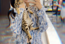 【乐玩LEWIN】戚佳丽新作视频曝光，本人回应拍摄了4部，恳求网友“收刀”放过-乐玩真人线上娱乐