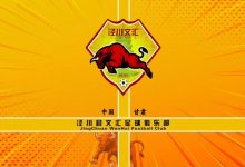 【乐玩LEWIN】平凉日报:泾川文汇淘汰国安不只是运气 平凉市足球运动蔚然成风-乐玩真人线上娱乐