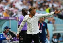 【乐玩LEWIN】撞脸电影明星的勒纳尔！国际赛场魔力主帅，赛前已有爆冷预感-乐玩真人线上娱乐