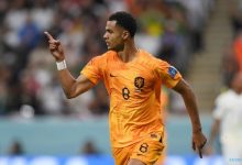 【乐玩LEWIN】世界杯球探报告：3场3球的加克波有巨星潜力，曼联想买得加钱-乐玩真人线上娱乐