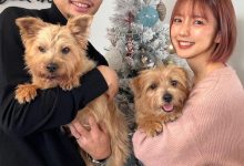 【乐玩LEWIN】柴崎岳太太真野惠里菜晒全家福:??圣诞快乐?-乐玩真人线上娱乐