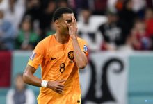 【乐玩LEWIN】罗马诺:埃因霍温或在冬窗出售加克波,曼联仍与其经纪人保持联系-乐玩真人线上娱乐