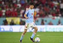 【乐玩LEWIN】佩德里:本届世界杯未达预期目标 感谢恩里克所做的一切-乐玩真人线上娱乐