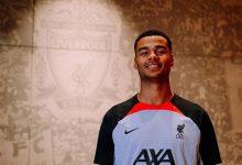 【乐玩LEWIN】【足坛图志】红军新援加克波-乐玩真人线上娱乐