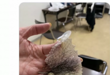 【乐玩LEWIN】拍写真要用的！流川莉央的人工阴毛现形！-乐玩真人线上娱乐