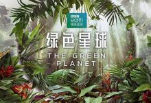 【乐玩LEWIN】2022高分纪录片《绿色星球》全5集.HD1080P.迅雷下载-乐玩真人线上娱乐