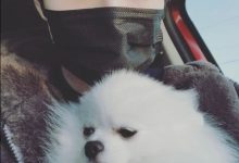 【乐玩LEWIN】Ghost：感谢大家推荐战队 决定休息是为了夺冠的目标 让自己成长-乐玩真人线上娱乐