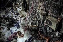 【乐玩LEWIN】2021郑保瑞高分犯罪《智齿》HD1080P.迅雷下载-乐玩真人线上娱乐