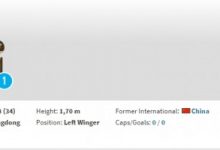 【乐玩LEWIN】德转显示广州城球员陈志钊已退役，曾留洋巴甲科林蒂安-乐玩真人线上娱乐