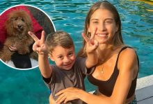 【乐玩LEWIN】胡梅尔斯前妻:儿子去年被爱犬咬伤,我不得不忍痛把狗送走-乐玩真人线上娱乐