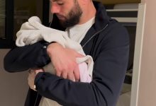 【乐玩LEWIN】记者:老佛爷提供专机给纳乔,让他回西班牙迎接儿子出生-乐玩真人线上娱乐