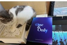 【乐玩LEWIN】Deft更新社交媒体感谢粉丝赠送的礼物，随后再次将ins注销-乐玩真人线上娱乐