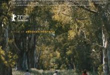 【乐玩LEWIN】阿索尔 2021瑞士剧情 HD1080P 迅雷下载-乐玩真人线上娱乐