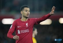 【乐玩LEWIN】欧文：加克波的进球对球队来说非常重要，利物浦找回了昔日的状态-乐玩真人线上娱乐