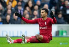 【乐玩LEWIN】水土不服？加克波在埃因霍温24场13球17助，加盟利物浦后5场0球-乐玩真人线上娱乐