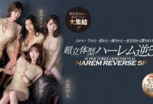 【乐玩LEWIN】新的时代来临!Madonna打造让男艺人做恶梦的新系列!小花暖和筱田优共同出演!-乐玩真人线上娱乐