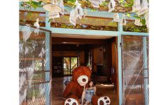 【乐玩LEWIN】2月情报解禁！星まりあ(星麻里亚)要和大家见面了？-乐玩真人线上娱乐