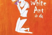 【乐玩LEWIN】2016台湾剧情《白蚁:欲望谜网》HD1080P 迅雷下载-乐玩真人线上娱乐