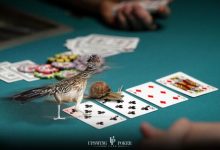 【EV扑克】策略教学：翻牌圈击中强牌后，最正确的游戏方式是什么？-乐玩真人线上娱乐