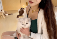 【乐玩LEWIN】狗头萝莉更新近况,卖掉所有直播设备装备,即将摆地摊卖煎饼-乐玩真人线上娱乐