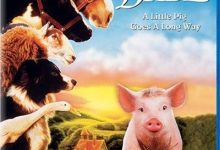 【乐玩LEWIN】1995家庭奇幻《小猪宝贝》HD720P 迅雷下载-乐玩真人线上娱乐