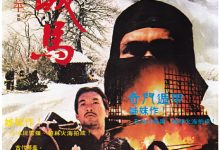 【乐玩LEWIN】巡城马 1982香港动作 HD1080P 迅雷下载-乐玩真人线上娱乐