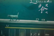 【乐玩LEWIN】路边野餐 2015国产悬疑.HD720P 迅雷下载-乐玩真人线上娱乐