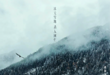 【乐玩LEWIN】2023国产剧情《鲛在水中央》HD1080P.国语中字-乐玩真人线上娱乐