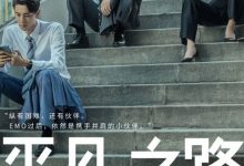 【乐玩LEWIN】2023国剧《平凡之路》全集.HD1080P.国语中字-乐玩真人线上娱乐