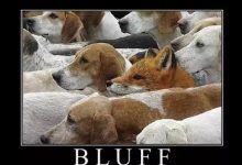 【EV扑克】教学:如何判断一个牌面是否适合用来诈唬-乐玩真人线上娱乐