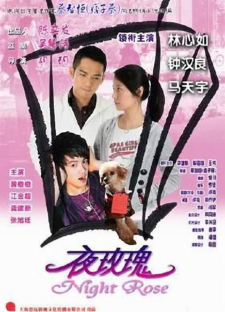 夜玫瑰 2009国产爱情 HD1080P 迅雷下载