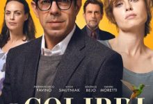 【乐玩LEWIN】2022意大利剧情《蜂鸟》HD1080P 迅雷下载-乐玩真人线上娱乐