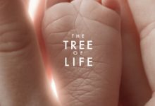 【乐玩LEWIN】生命之树 2011高分剧情.HD1080P 迅雷下载-乐玩真人线上娱乐