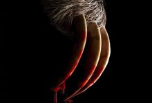 【乐玩LEWIN】2023美国惊悚《杀人树懒》BD1080p.中英双字-乐玩真人线上娱乐