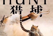 【乐玩LEWIN】2015BBC纪录片《猎捕》HD720P 迅雷下载-乐玩真人线上娱乐